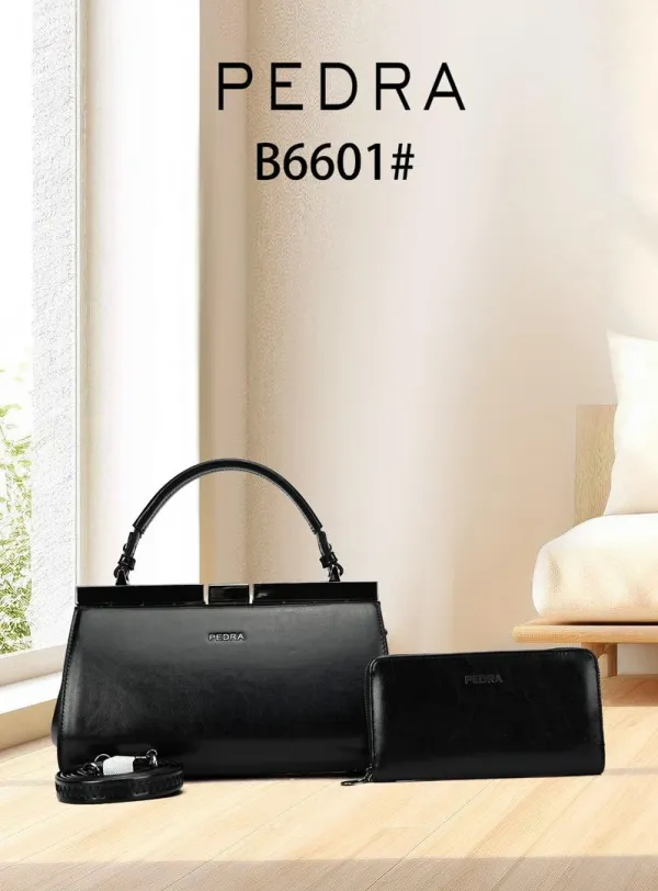 Black Frame Bag with Purse